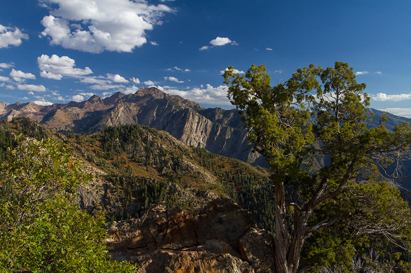 Broads Fork, Twin Peaks from the saddle