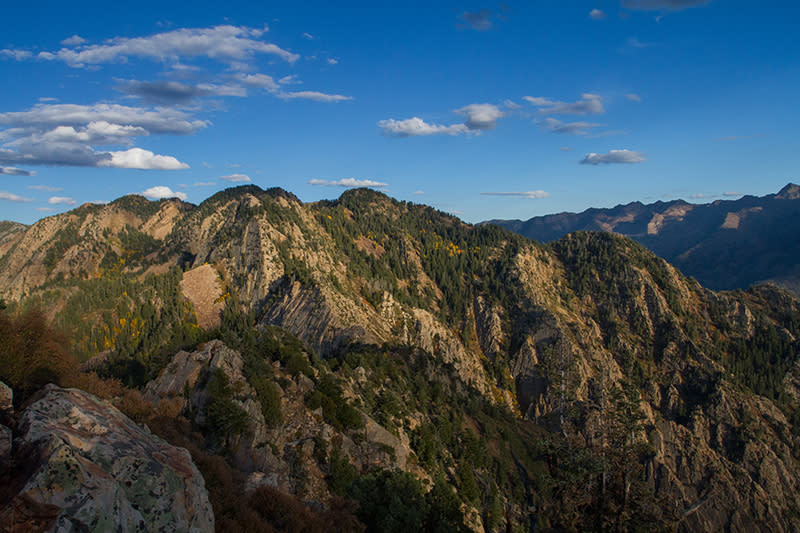 Looking east from the summit toward Wildcat Ridge