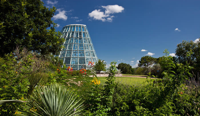 View of San Antonio Botanical Garden Greenhouse though greenery.