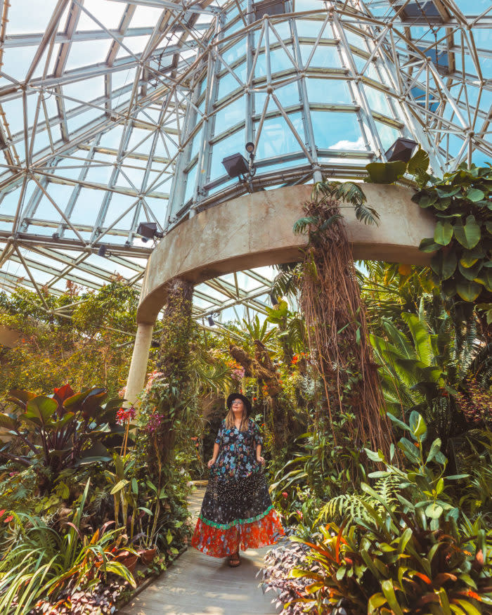 Botanical Hayley Blog