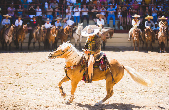 This is an image of a man in cowboy gear riding a horse