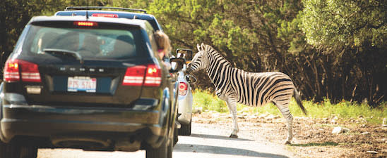 Natural Bridge Wildlife Ranch