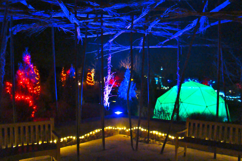 Immerse yourself in the "glow" of lights at the Santa Fe Botanical Garden Photo courtesy of Santa Fe Botanical Garden 