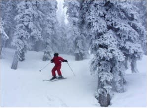Skiing in a winter wonderland means doing it in Santa Fe! (Photo credit: Ski Santa Fe)