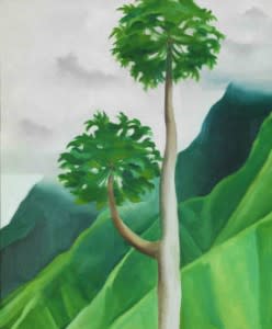 Georgia O’Keeffe always had an eye for beautiful trees. “Papaya Tree, Oil on Canvas,” collection of the Honolulu Museum of Art; Gift of the Georgia O’Keeffe Foundation. (Photo courtesy of Georgia O’Keeffe Museum)