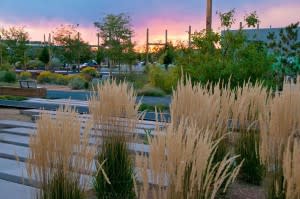 Let your pup take you to the Railyard Park for a sunset stroll. (Photo Credit: Santa Fe Sage Inn)