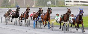Harness Racing horses racing on track at Shenandoah Downs