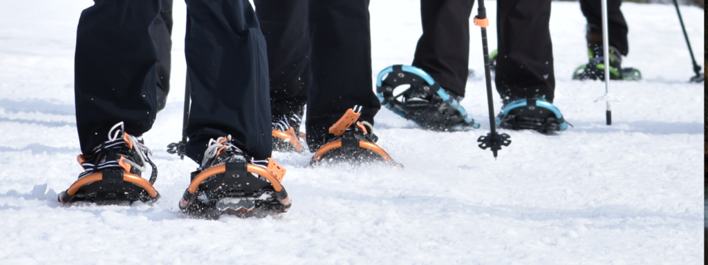 Snow Shoe Feet