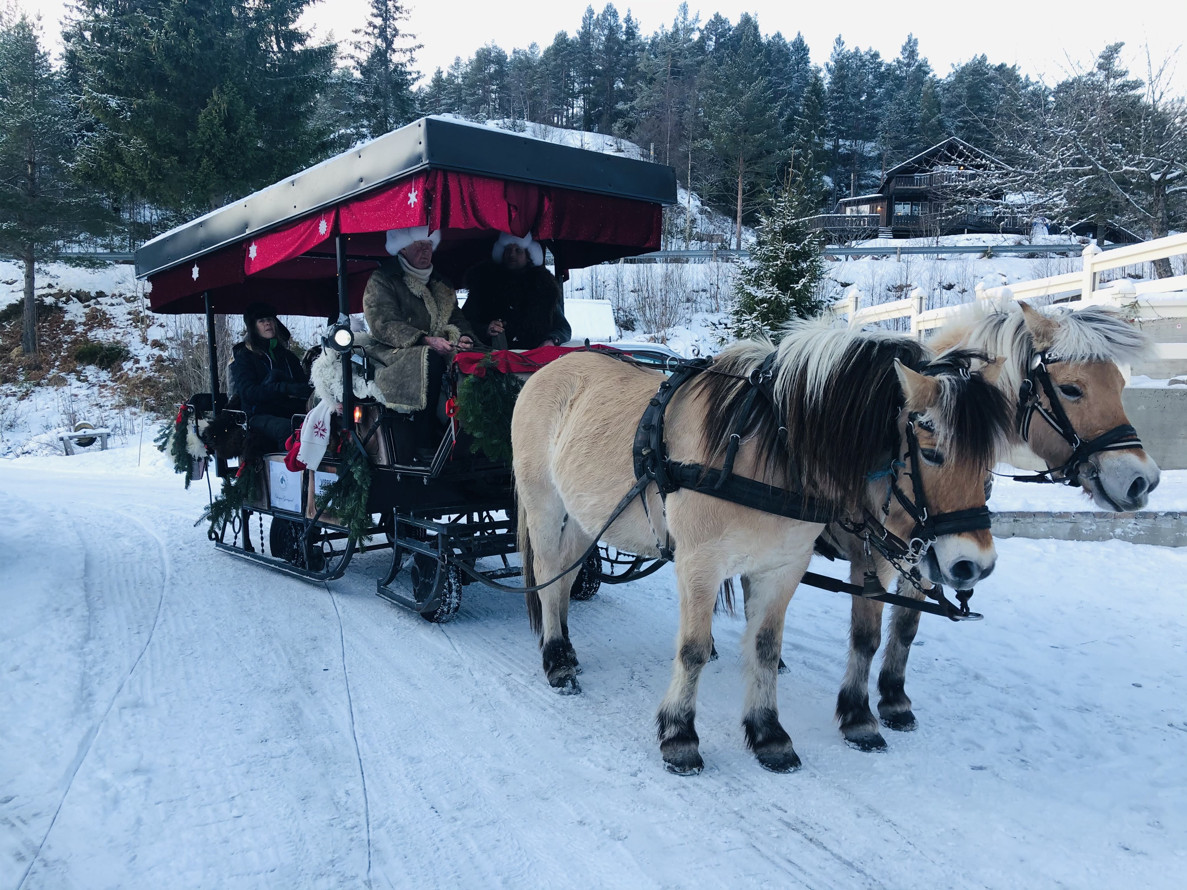 Kanefart med hest på Eikerapen Gjestegard