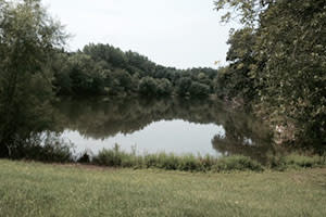 Lake Kenoyer, Brook Lake Kenoyer, Brook