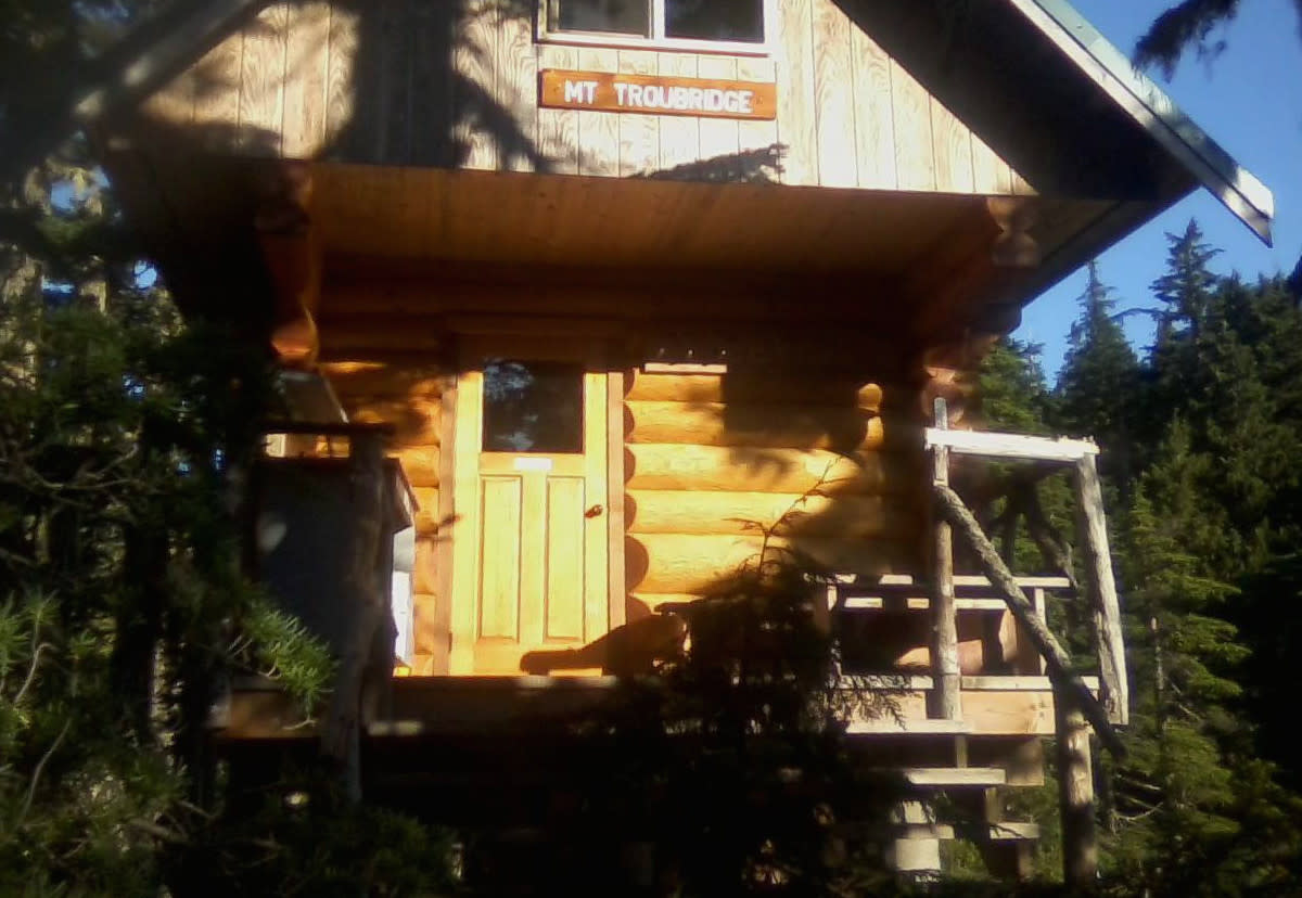 Masterwork Log Cabin