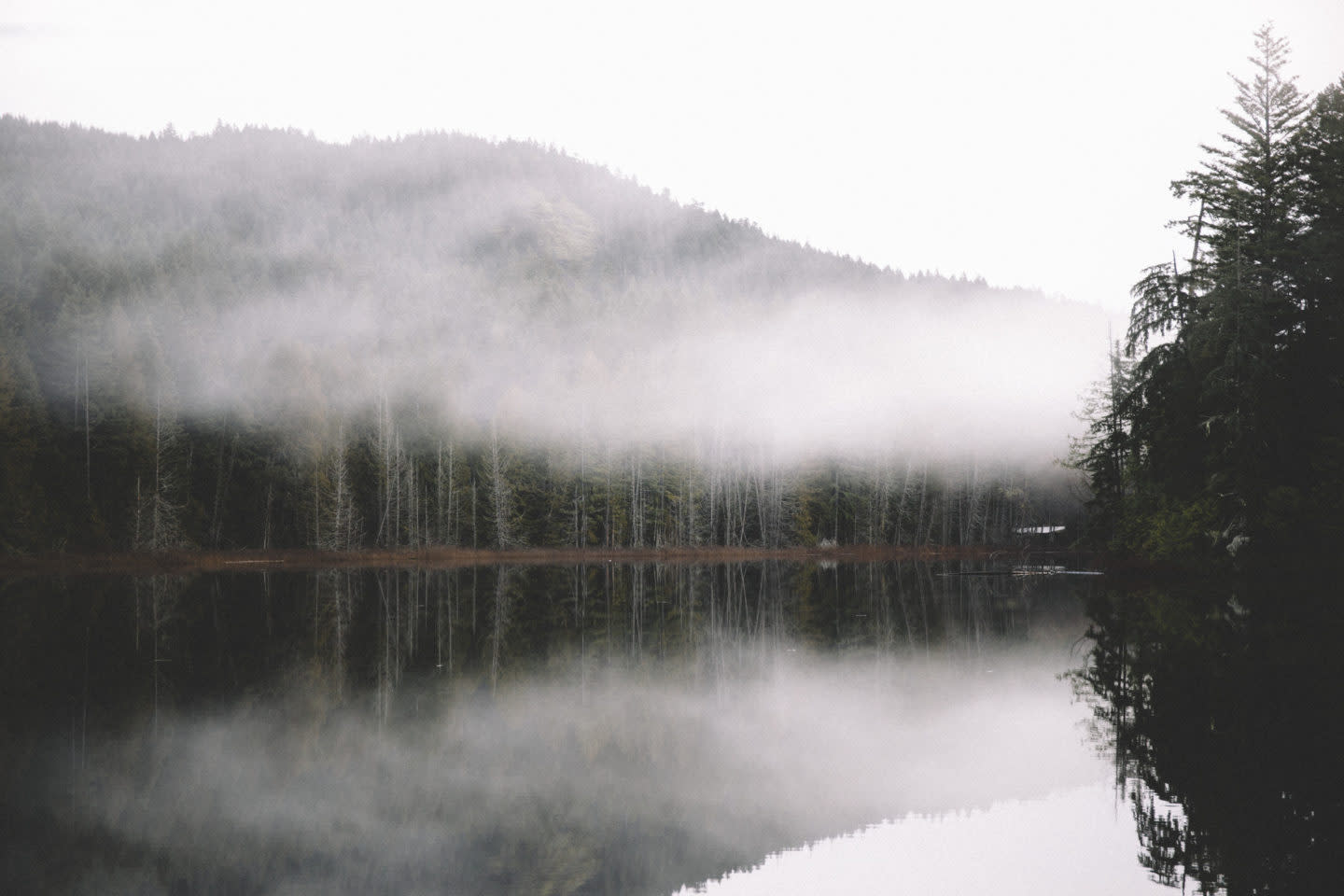trout lake weather