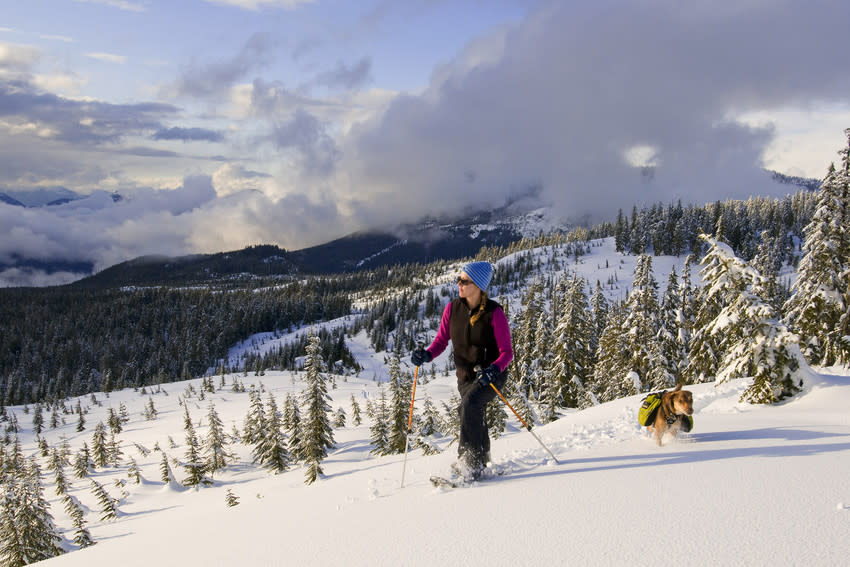 Explore the Trails: The Knuckleheads