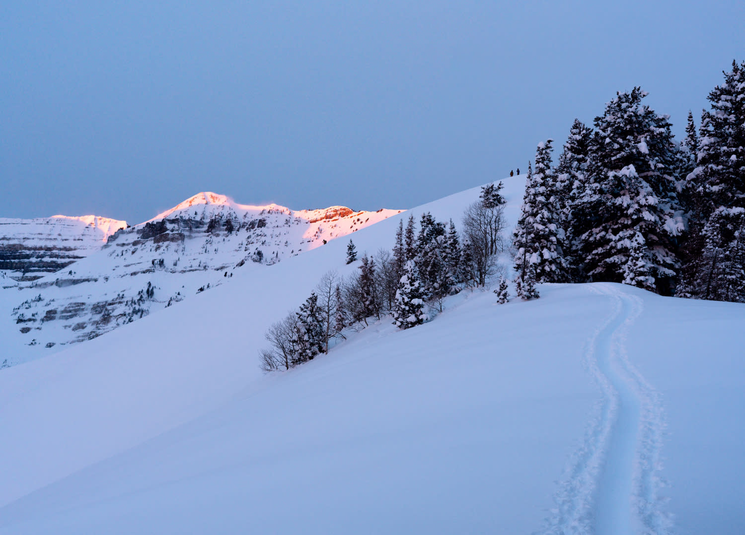 snowy mountain face