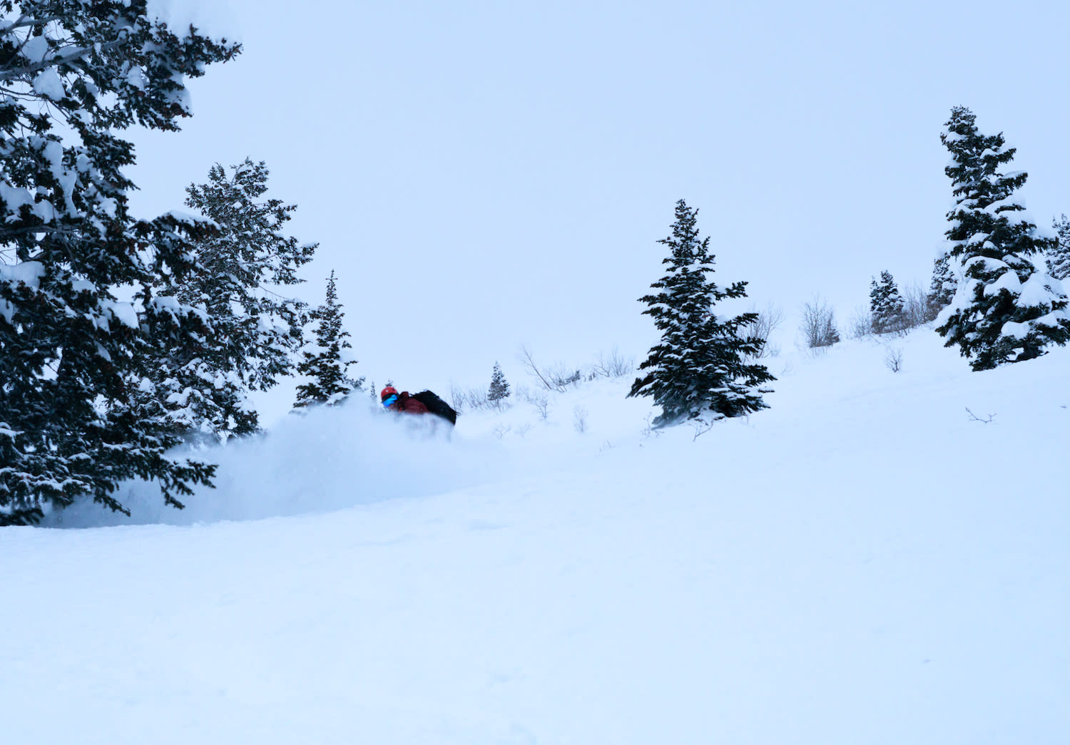 backcountry skiing