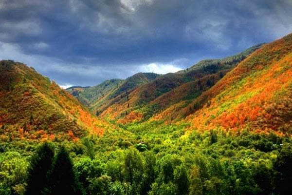 Scenic Drives to See Fall Colors in Utah Valley