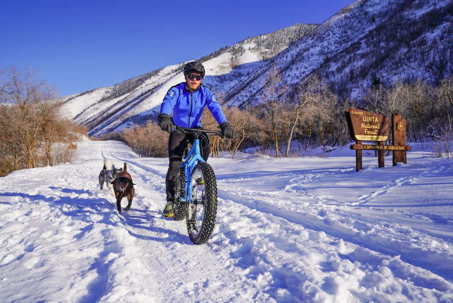 Man riding fat tire bike on snowy path with dogs following