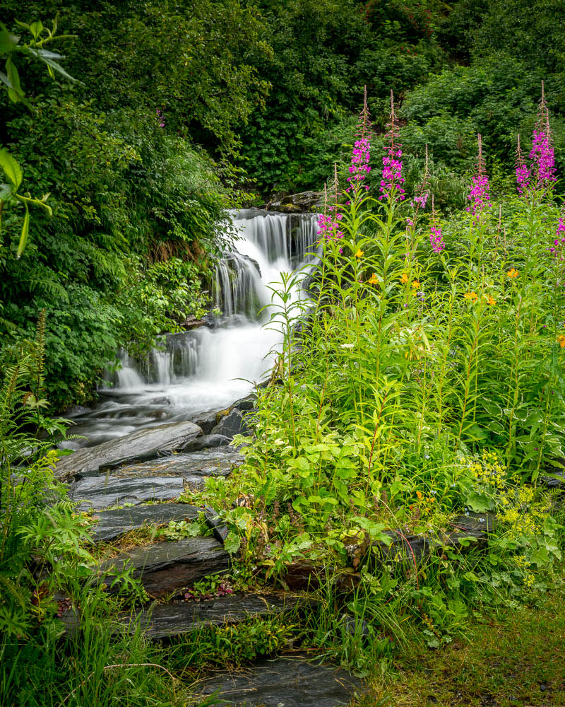 Feeling of Spring Waterfall