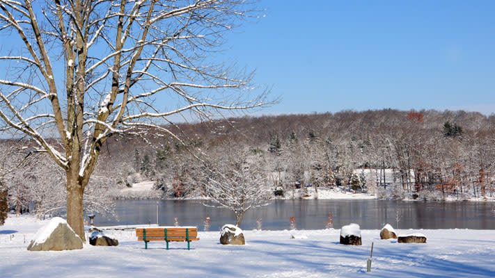 Green Lane Park hosts a Winter Trees walk on Saturday. Green Lane Park hosts a Winter Trees walk on Saturday.