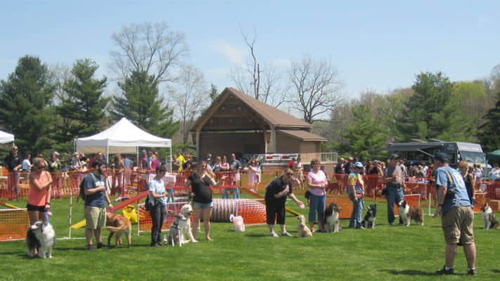 The John DeBella Dog Walk at Green Lane Park. The John DeBella Dog Walk at Green Lane Park.