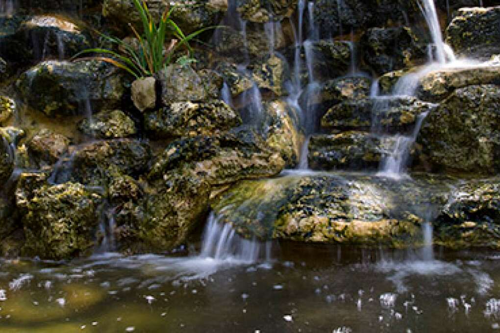 A small yet picturesque waterfall greeting visitors on the main jungle trail at McKee Botanical Garden