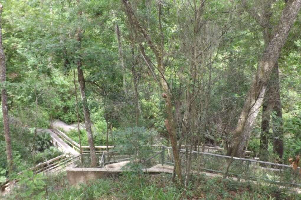 A concrete trail amidst trees