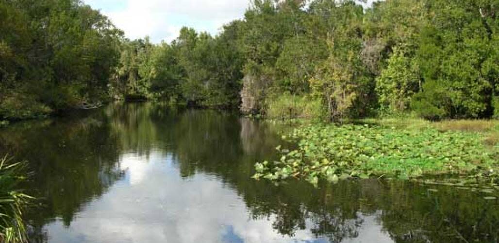 The Little Manatee River. As a state park, this will be preserved for future generations.