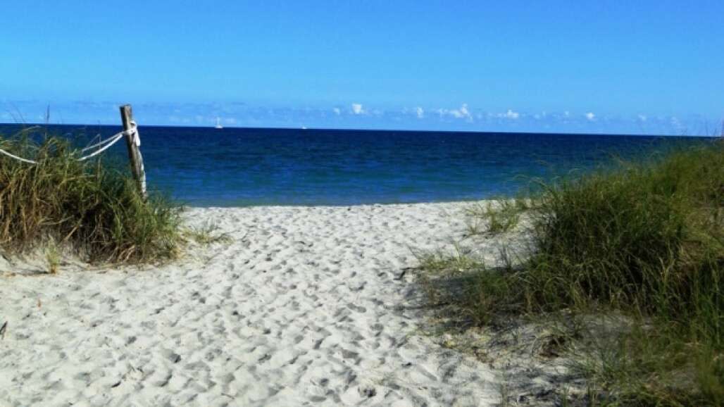 Along with a natural beach oasis, 310-acre Von D. Mizell-Eula Johnson State Park has two boat ramps with ocean access, a mangrove-lined creek for canoeing and kayaking, picnic pavilions, and a jetty for fishing.