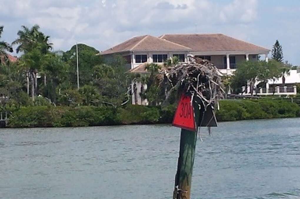 Part2-Sails-Full-of-Florida-Hundley-PHOTO-Osprey nest-Intracoastal Waterway.jpg