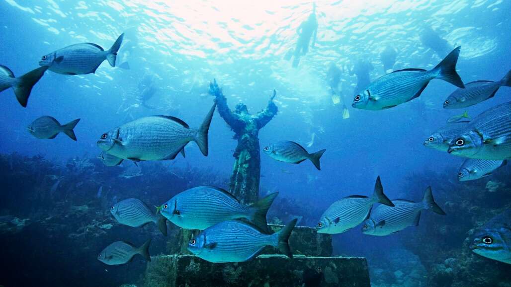 John Pennekamp Coral Reef State Park in Key Largo is a popular place for novice and experienced snorkelers.
