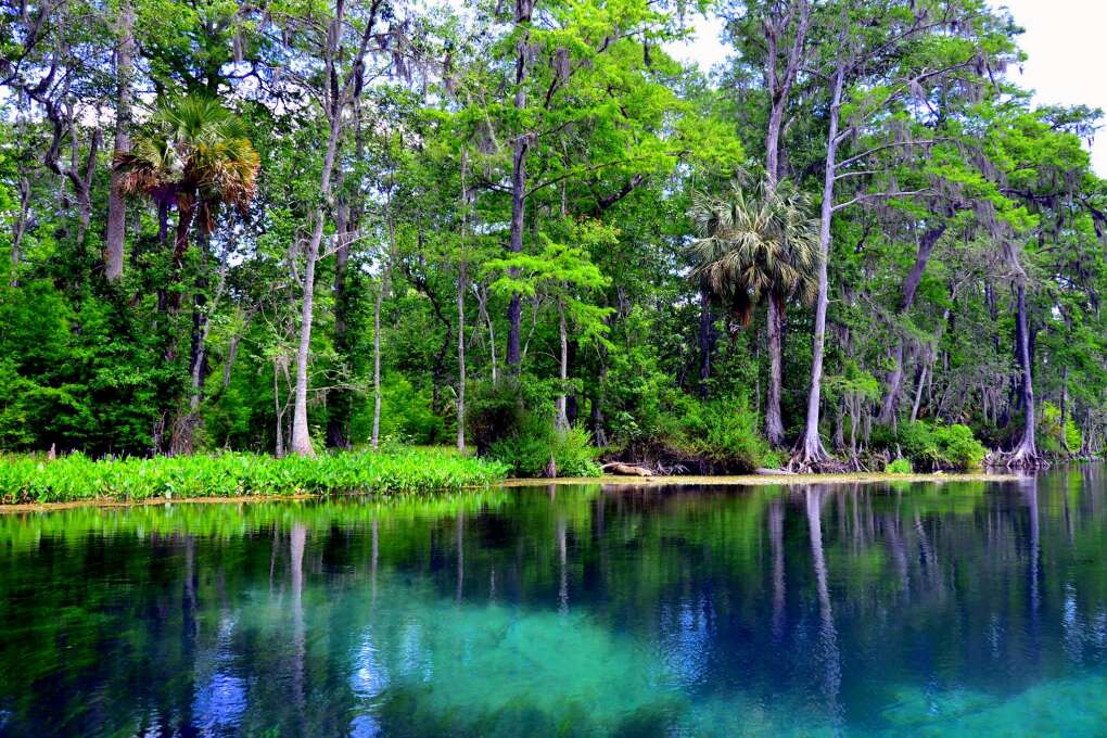 Silver Springs near Ocala is one of the world’s largest artesian springs. It’s the centerpiece of a state park that also includes the Silver River.
