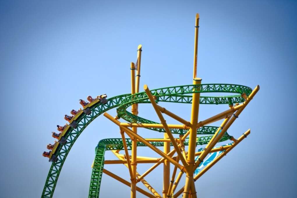 Cheetah Hunt