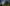 homosassa-springs-state-park-photo-ibis