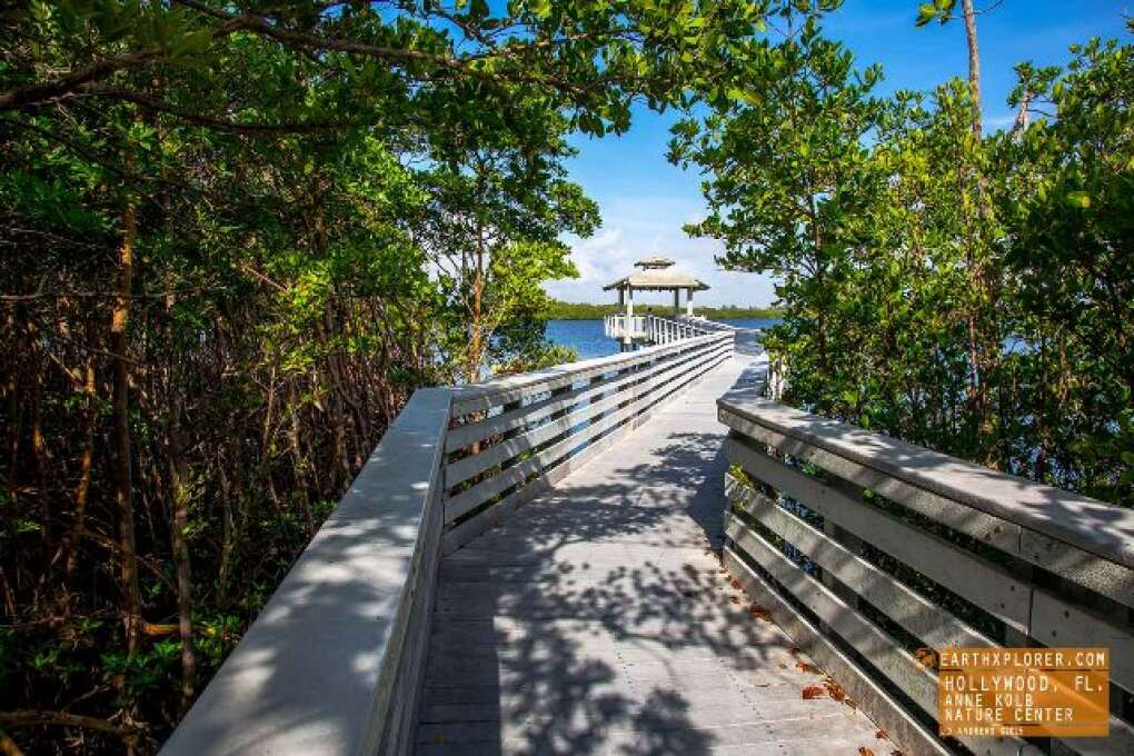 The Anne Kolb Nature Center, in Hollywood, is a great place to get away from it all. 