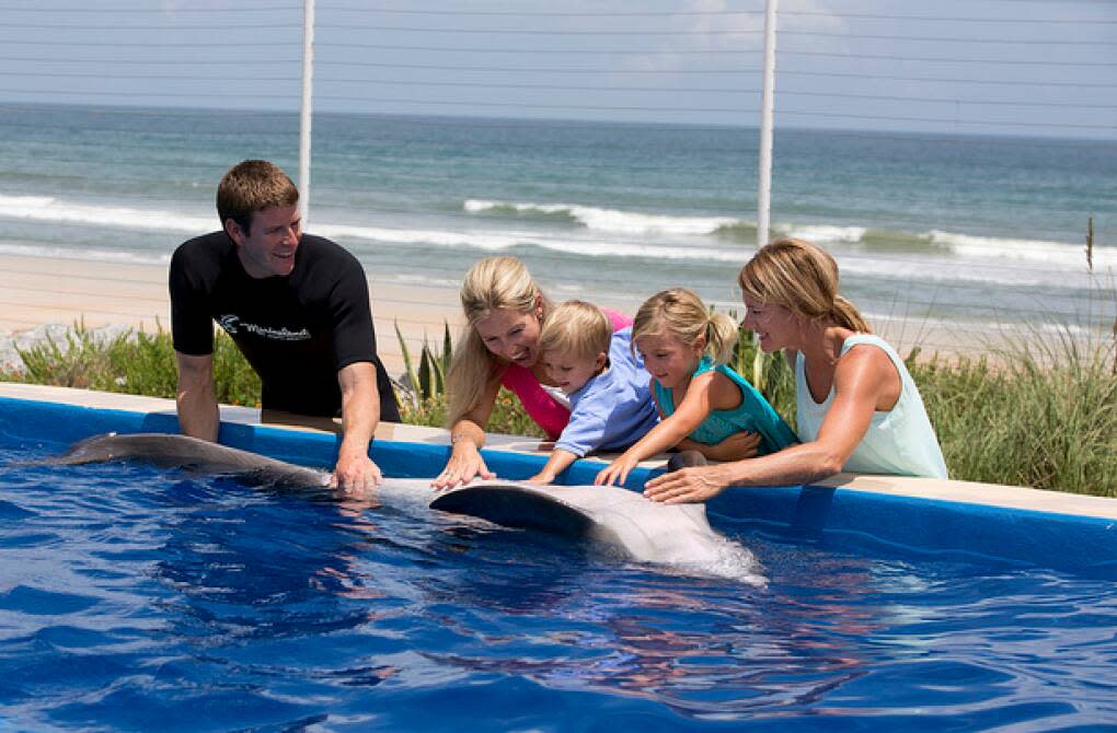 Experience fun at the Marineland Dolphin Encounter