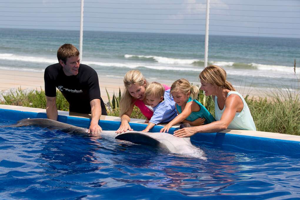 Experience fun at the Marineland Dolphin Encounter