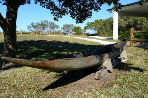 A Calusa Indian's relic canoe at De Soto