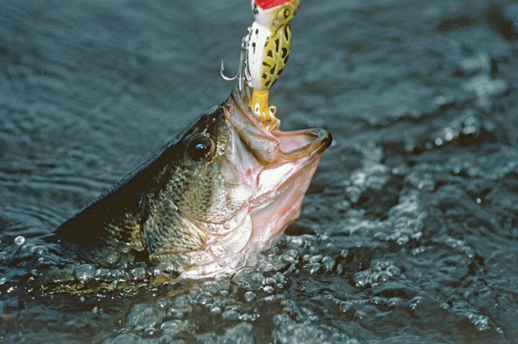Central Florida bass fishing lakes