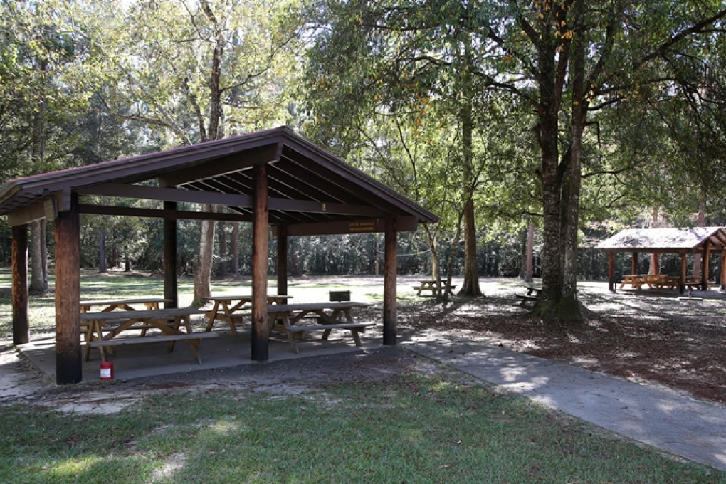 Pavilions are available for reservations at Ponce de Leon Springs.