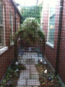 The Secret Garden - little garden area perfect for photos!