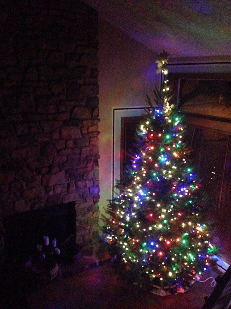 jo-christmas-tree-3