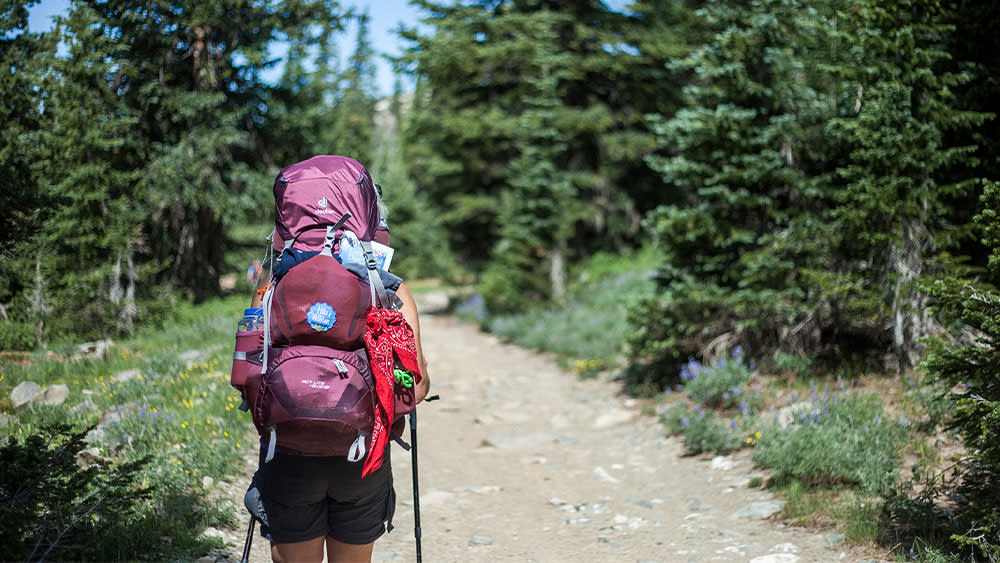 Backpacker on the Continental Divide Trail