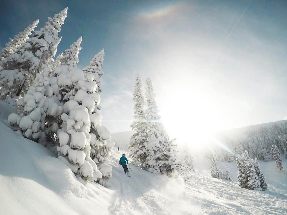woman skiing