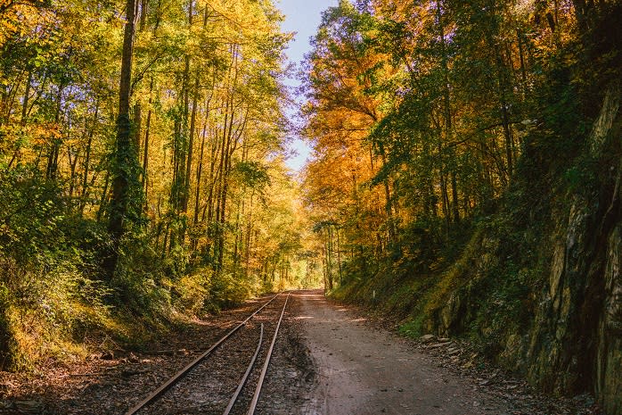 The York County Heritage Rail Trail is a great place for a peaceful fall walk. But if you stay past nightfall, you might just run into the spirit of a young train jumper.