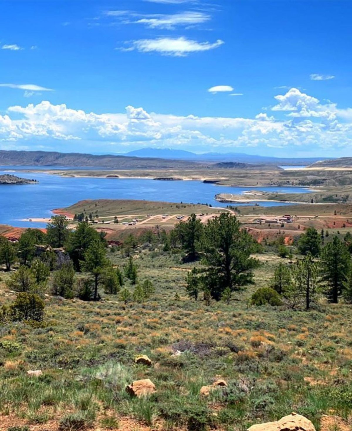 Greenery before a reservoir at Seminole State Park in Wyoming