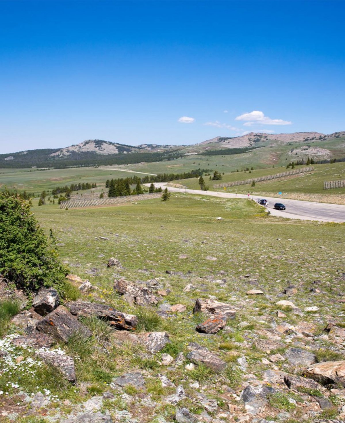 greenery in front of the Bighorn mountains at Cloud Peak Wilderness