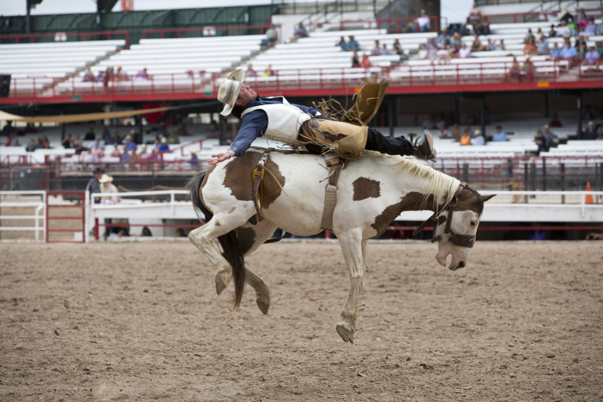 Bareback Rider