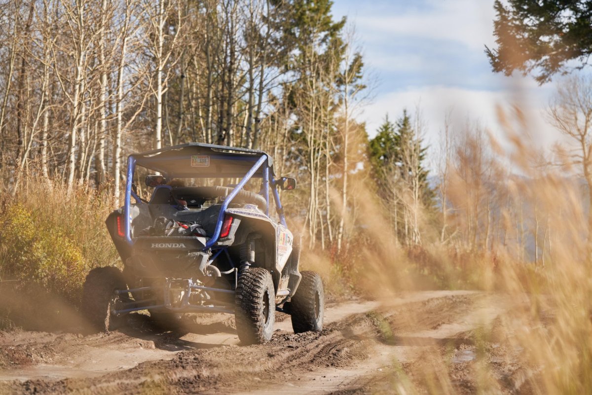ATVing through the woods