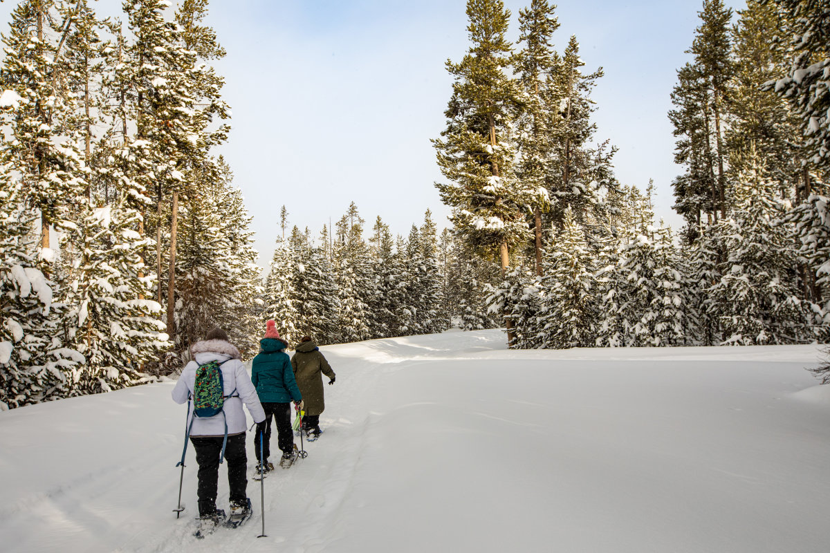 Snowshoeing in Yellowstone