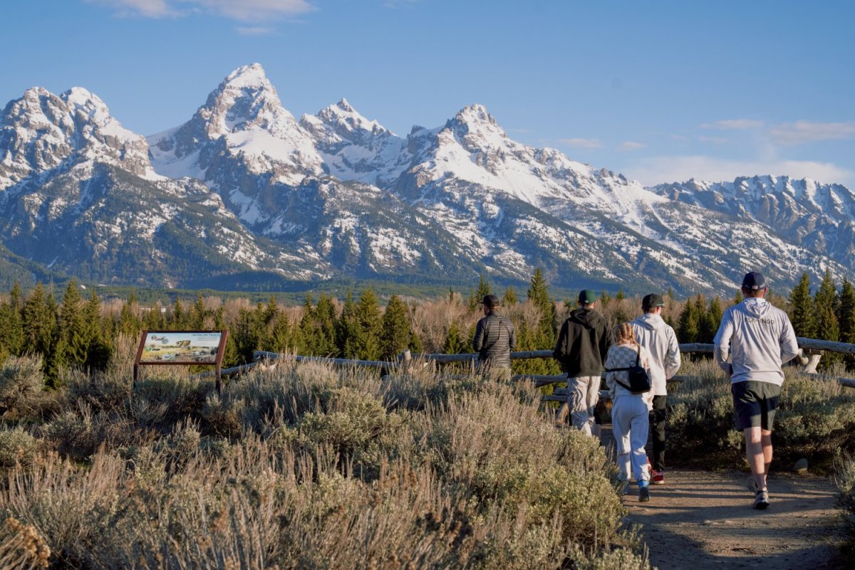 WyResponsibly-Wildlife-TetonCounty